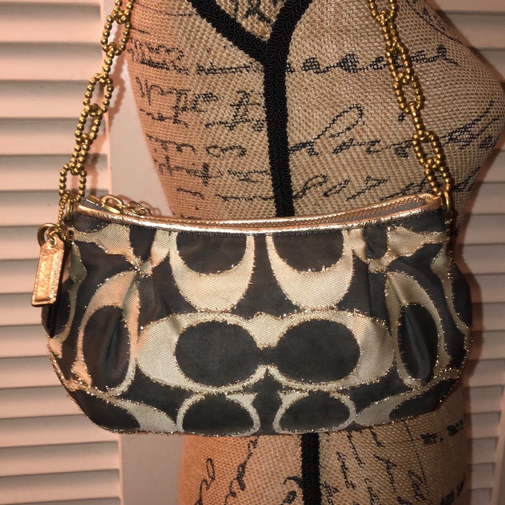 Coach Sig Poppy Chain Lurex Demi Pouch Handbag